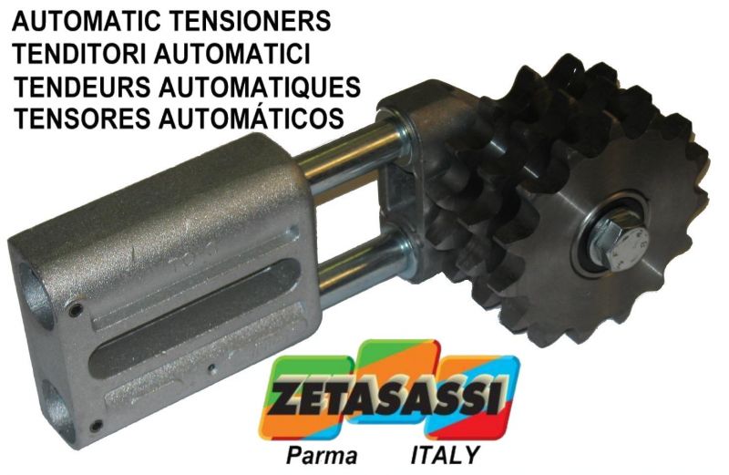 Drive deals chain tensioner